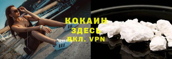 прущие крисы Алзамай