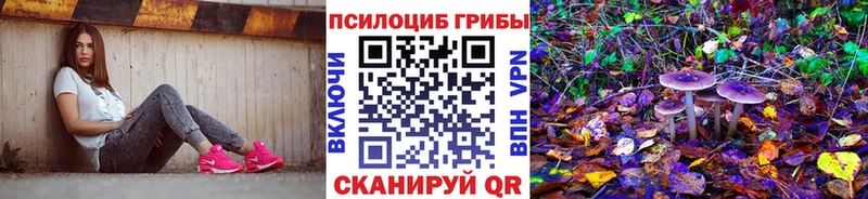 Галлюциногенные грибы мицелий  Каменск-Уральский 